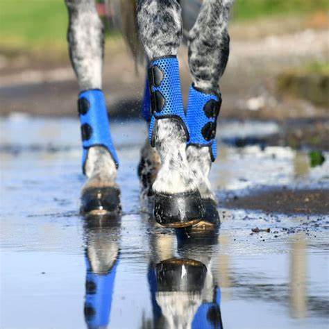 Eventing Boots
