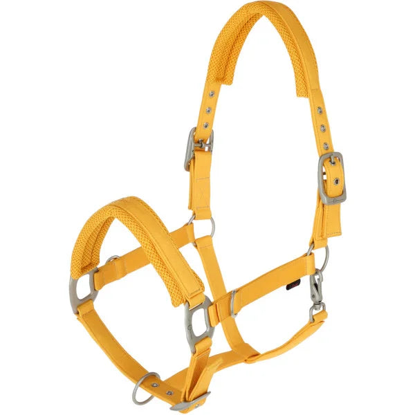 Covalliero 2024 Head Collar sun yellow horse tack in stock near me